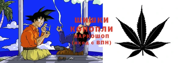 молекула духа Дмитриев