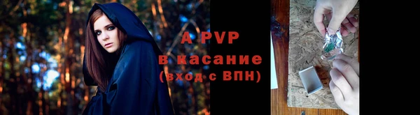 молекула духа Дмитриев