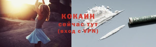 прущий лед Дмитров