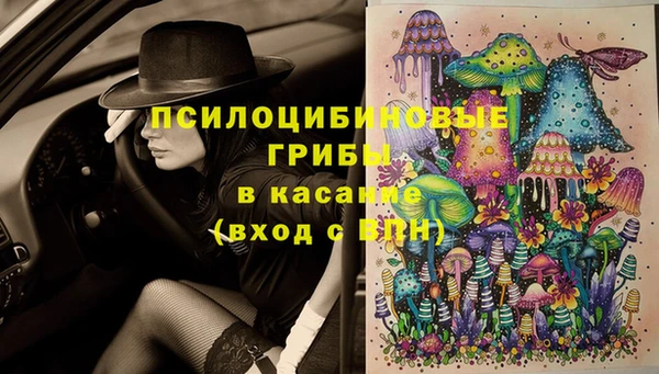 молекула духа Дмитриев