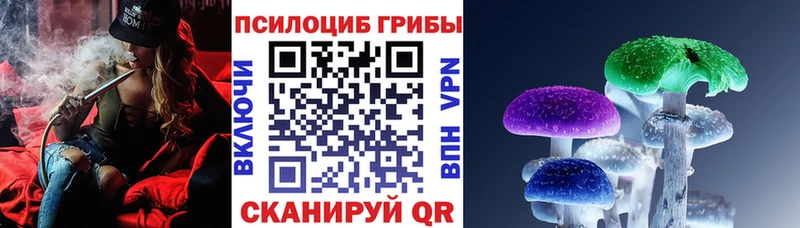 Псилоцибиновые грибы Psilocybine cubensis  Отрадный 