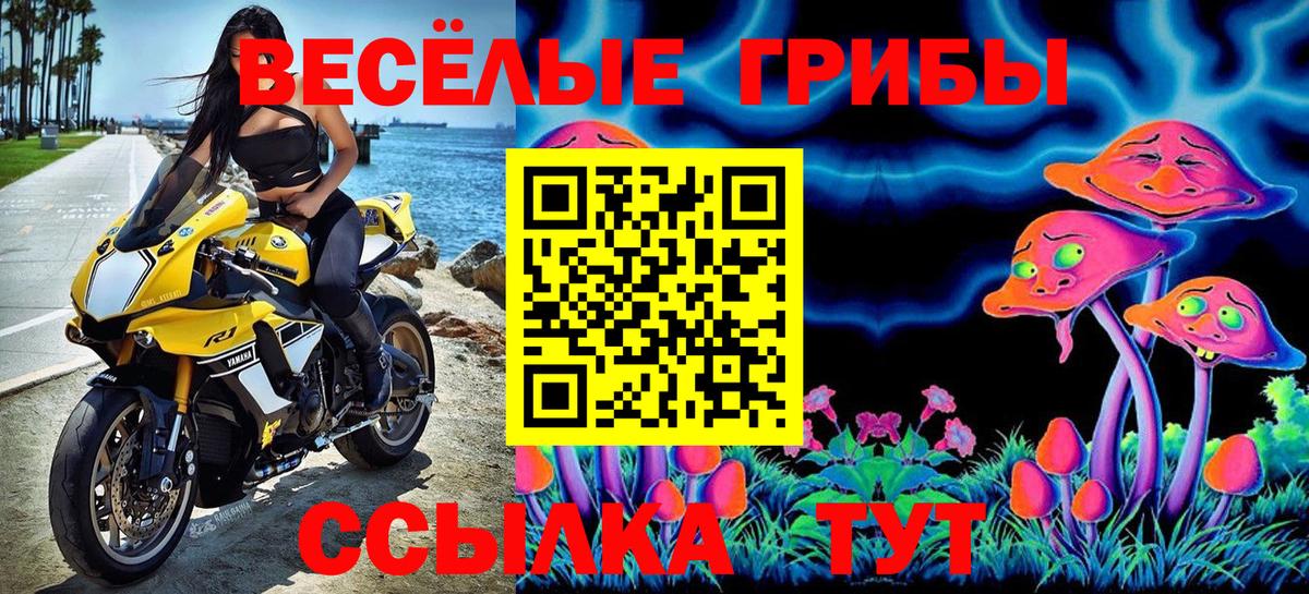 Псилоцибиновые грибы GOLDEN TEACHER  Псилоцибиновые грибы мицелий  Вход с VPN  Отрадный 